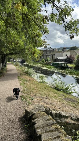 Our Cosmic Autumn Rebellion (Adolescent Support Group)