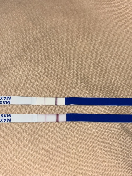 Is this line too faint for 3 weeks 5 days? (13dpo)