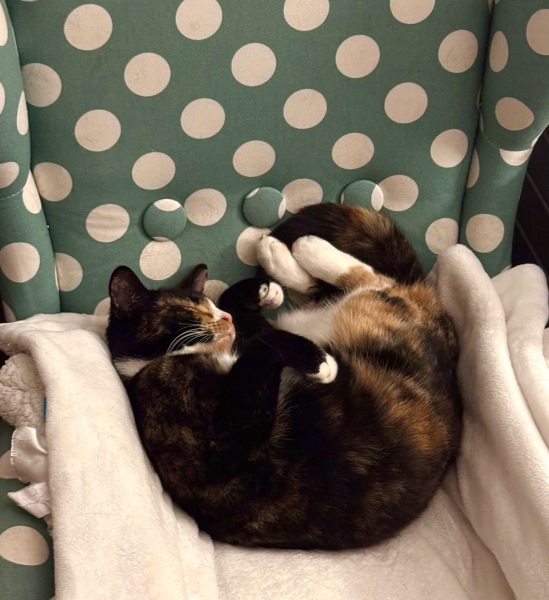 Woolly Hugs. Desperately sad news we are afraid. Making a Blanket for lovely Swashbuckled whose son has tragically died.