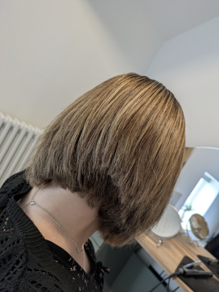 Any hairdressers around? Help taming hair at the back