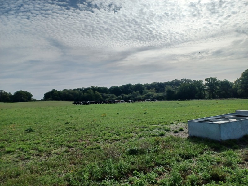 Come chat hiking with me!