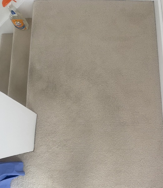 How long should a new carpet stay clean?