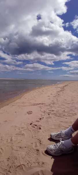 Why are brits obsessed with the beach?