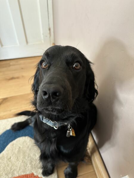 Our Cosmic Autumn Rebellion (Adolescent Support Group)