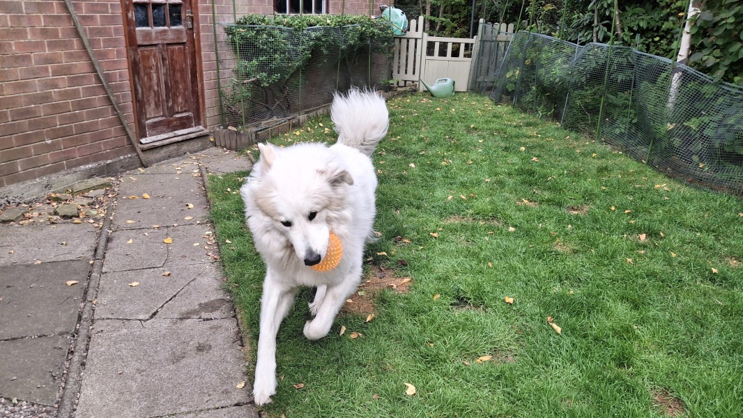 Our Cosmic Autumn Rebellion (Adolescent Support Group)