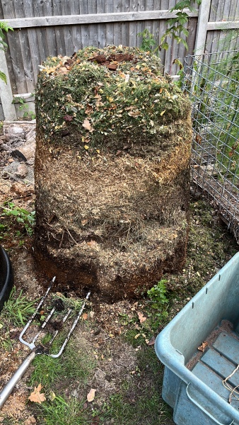 Compost worms