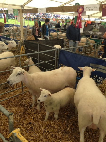 Labour isn't working - Thread 10