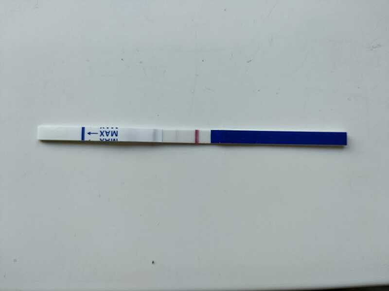 TTC TWW August/September 2025