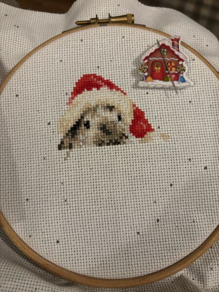 Melting from the heat, yet still Counting down to Christmas 2025 (thread 2)