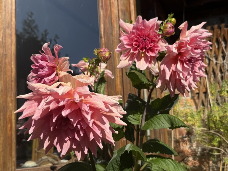 Year round Nigel Slater discussion thread Part 2