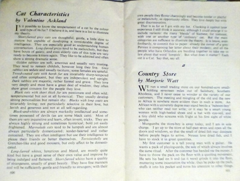 The Autumn Bluestocking - mist, mellow fruitfulness and hot chocolate!