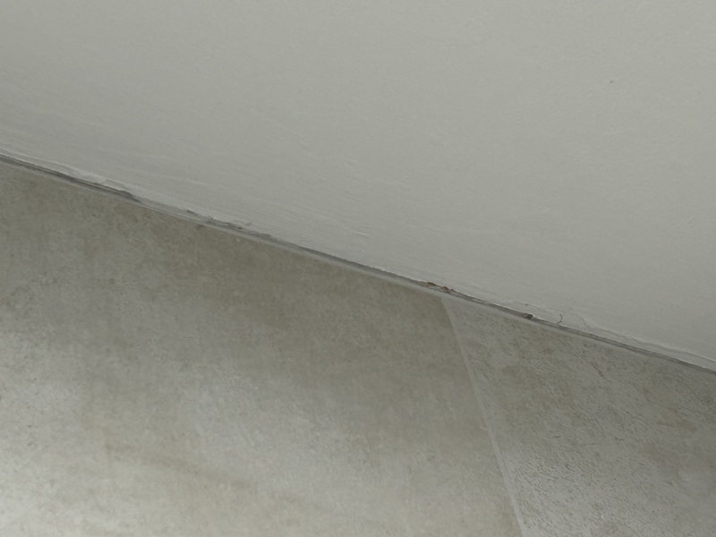 To not have the decorator back?