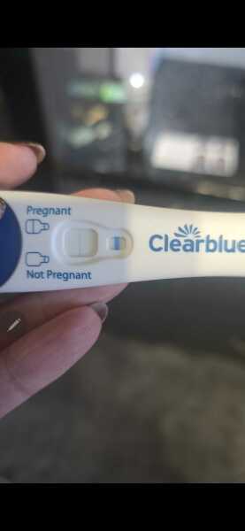 TTC TWW August/September 2025