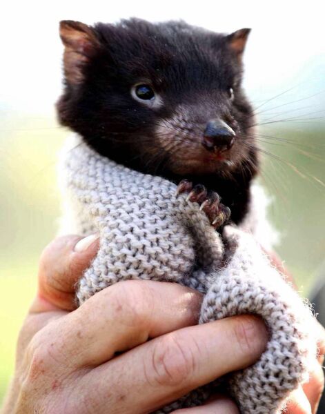 The Bluestocking - the one where the nights start to draw in