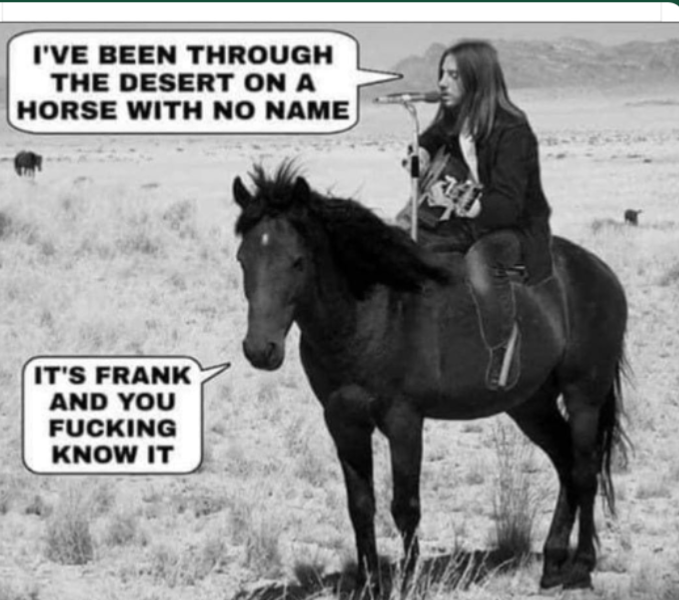 Chicken, Dreamies and Lickelix - the Excellent Cats form a disorderly queue