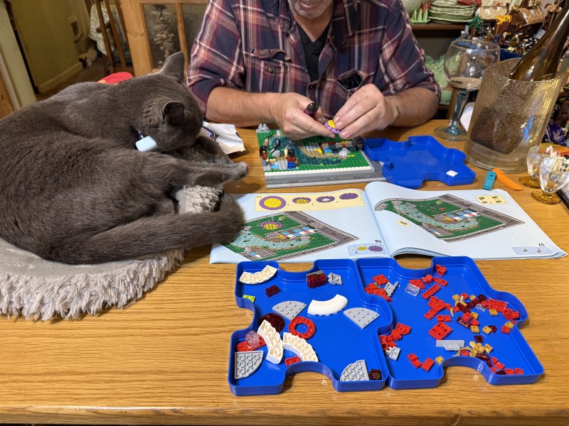 To show me your LEGO collection- Part 2