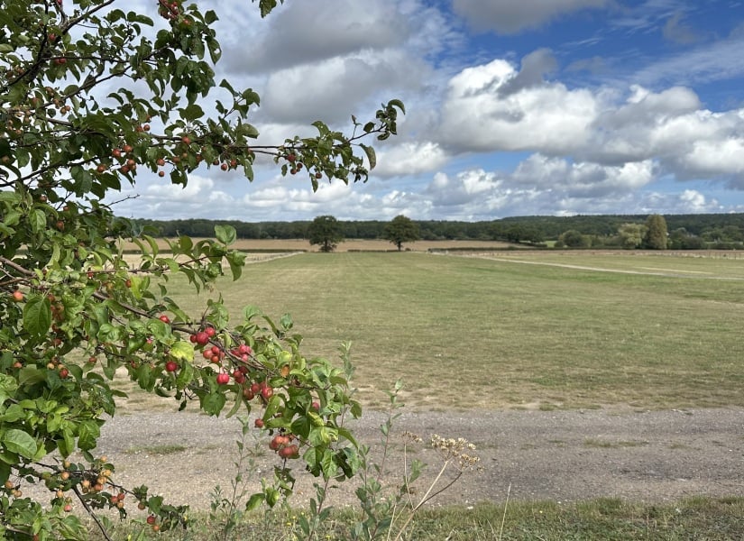 Year round Nigel Slater discussion thread Part 2