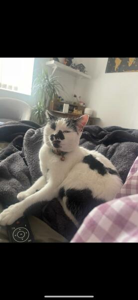 Thoughts on Wilmslow / Cheadle Hulme / Bramhall / Heaton Moor & Mersey