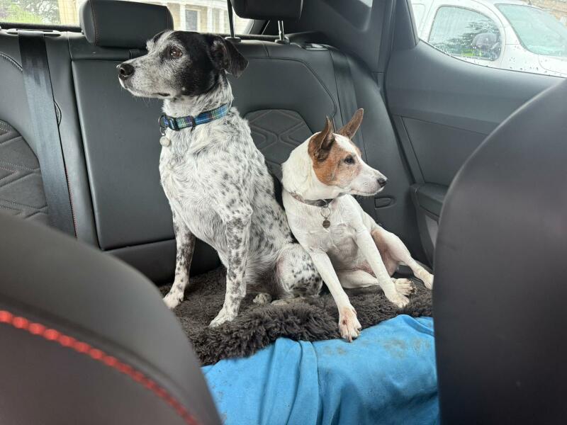 The Autumn Bluestocking - mist, mellow fruitfulness and hot chocolate!