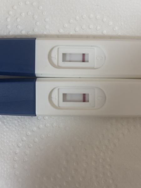 11dpo