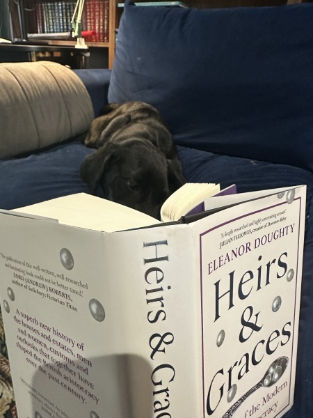 Our Cosmic Autumn Rebellion (Adolescent Support Group)