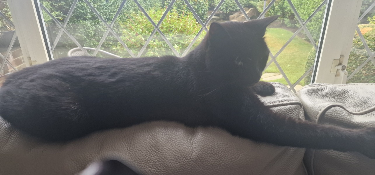 Thread 33 Starmer - Gerst Monath