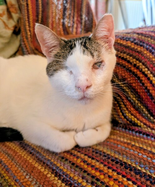 Not a supermodel, but I love him/her anyway