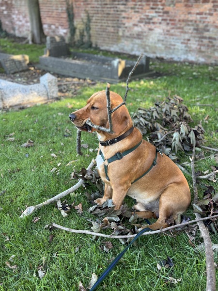 Our Cosmic Autumn Rebellion (Adolescent Support Group)