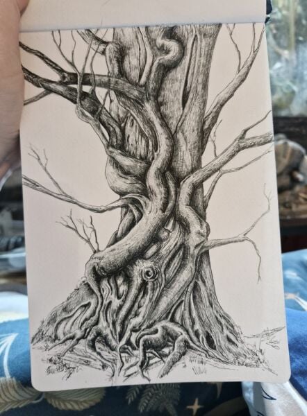 To start a hobbies thread....