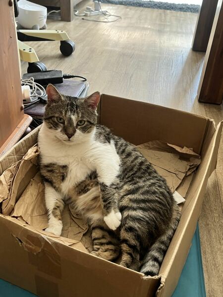 Not a supermodel, but I love him/her anyway