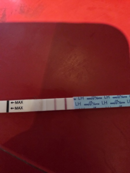 How far from ovulation test help