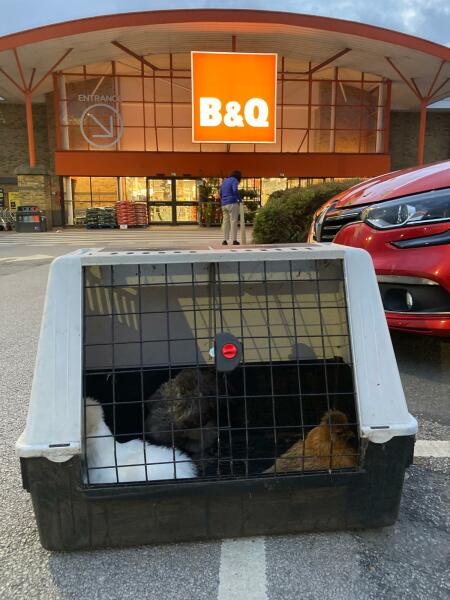 The Great Recovery part 4