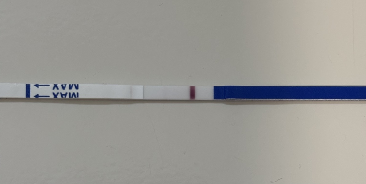 TTC TWW August/September 2025