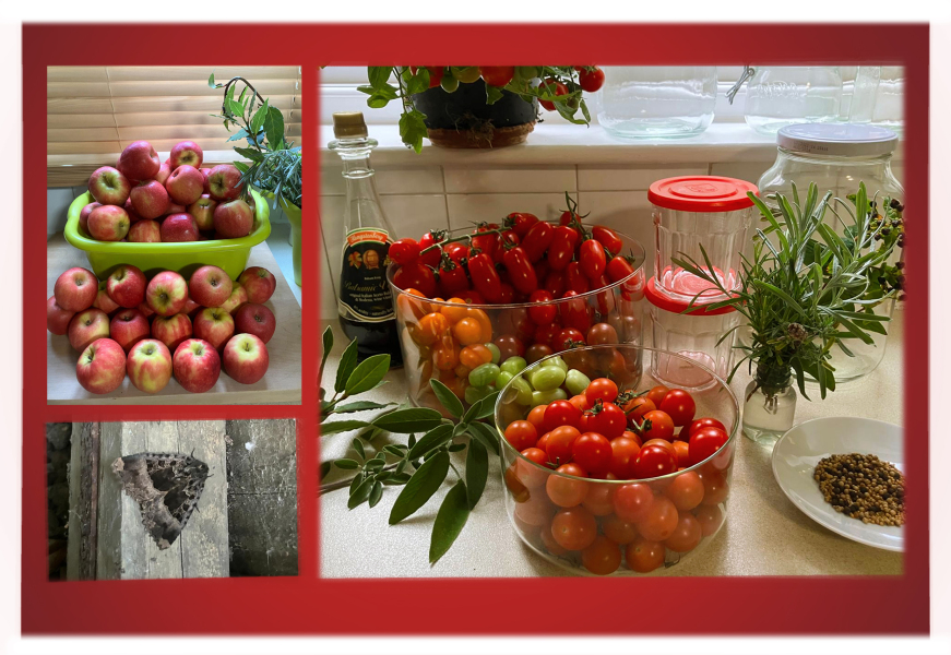 Year round Nigel Slater discussion thread Part 2