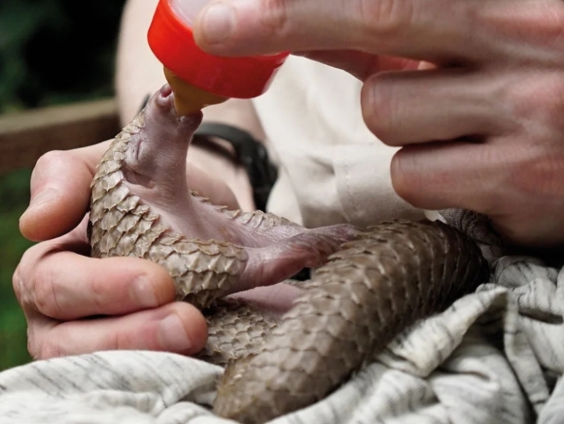 Charlie Kirk assassin was living with trans roommate