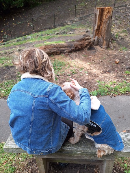 Merlin App Appreciation plus General Birding Chat