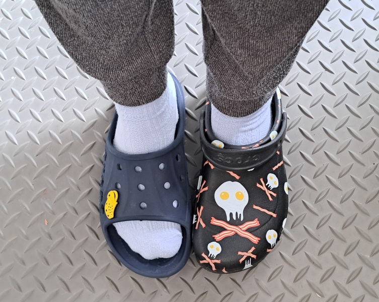 The Autumn Bluestocking - mist, mellow fruitfulness and hot chocolate!