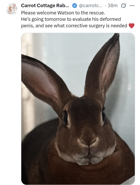 Graham Linehan arrested on arrival at Heathrow Part 2