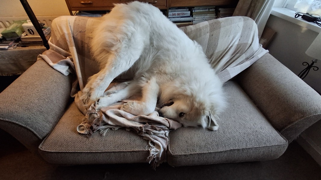 Our Cosmic Autumn Rebellion (Adolescent Support Group)