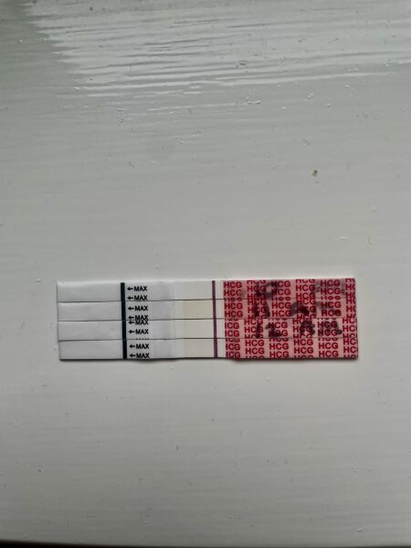 Wonder strip tests