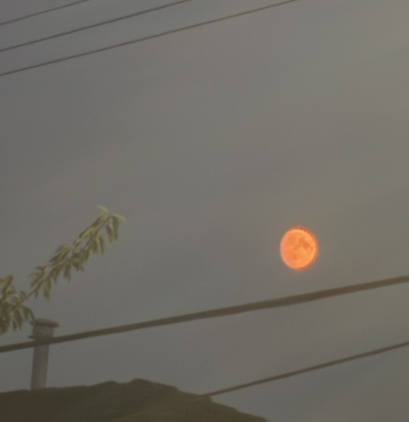 Daily Project round 7