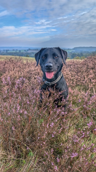 Our Cosmic Autumn Rebellion (Adolescent Support Group)