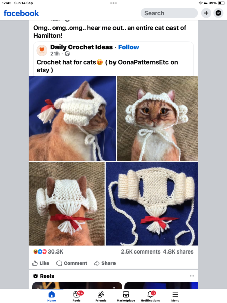 Chicken, Dreamies and Lickelix - the Excellent Cats form a disorderly queue