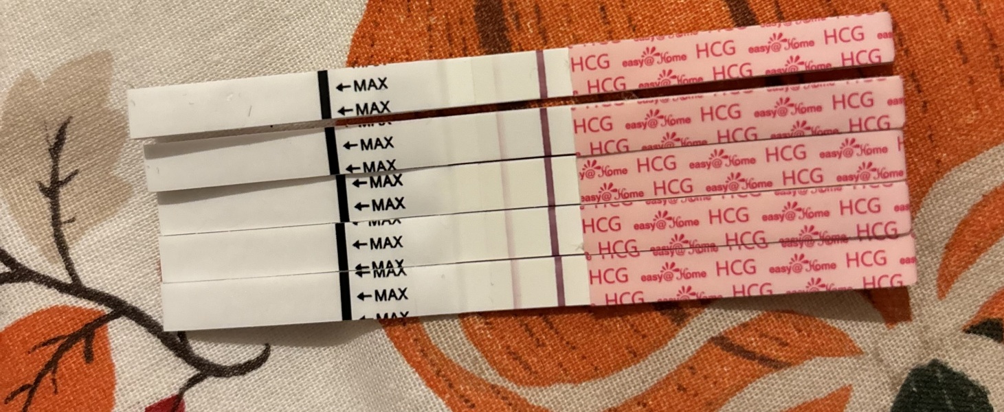 TTC TWW August/September 2025