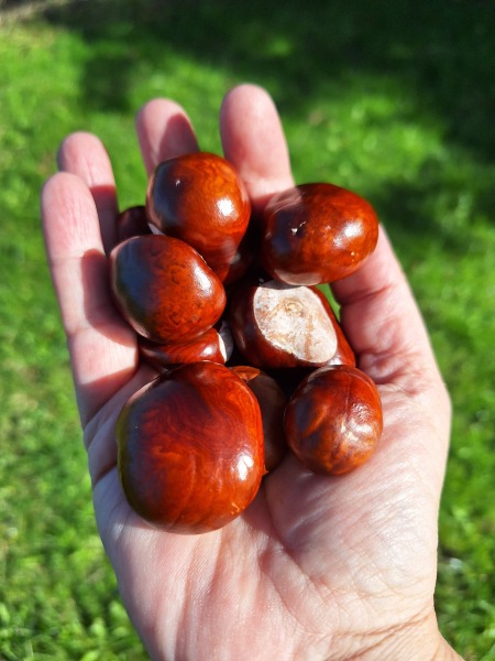 Year round Nigel Slater discussion thread Part 2