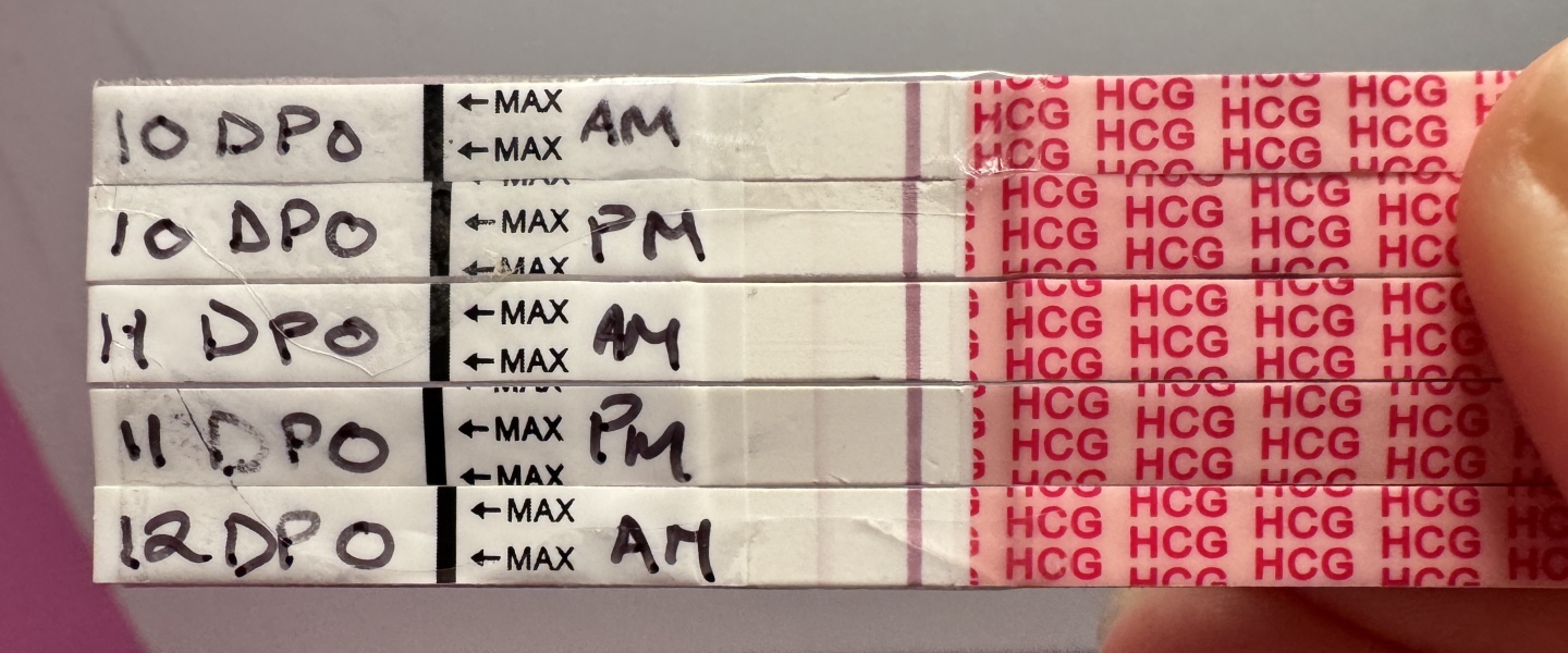 September TTC thread 💛