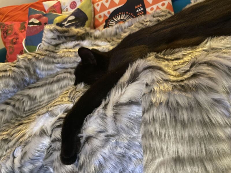 Mounjaro/Wegovy with >5 stone/30kg to lose - thread 10!