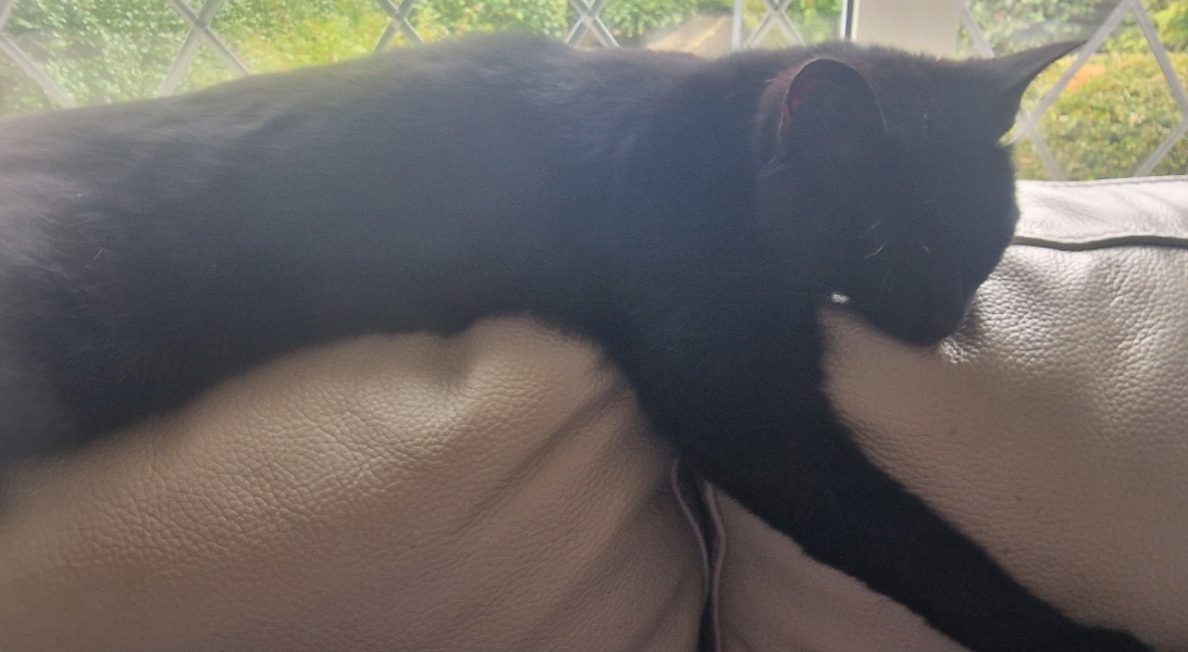 Thread 31 Starmer - September Rain