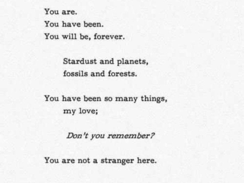 For Anyone Needing Support After Losing a Parent. Very Supportive Thread (November 2023)