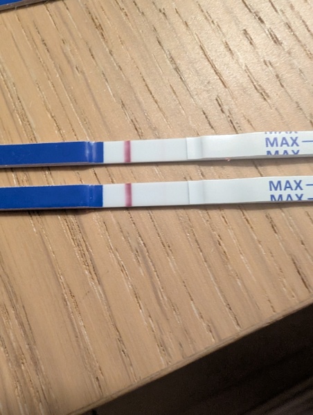 TTC after miscarriage- faint line at 10dpo?
